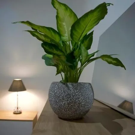 Monna Lisa's House Appartamento