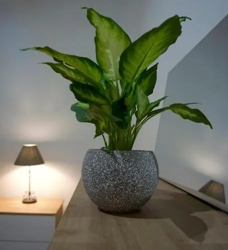 Monna Lisa's House Apartamento